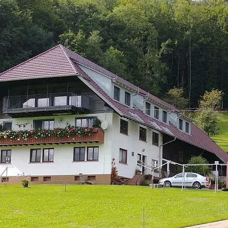 Vordersbergerhof Apartment Hausach Exterior photo