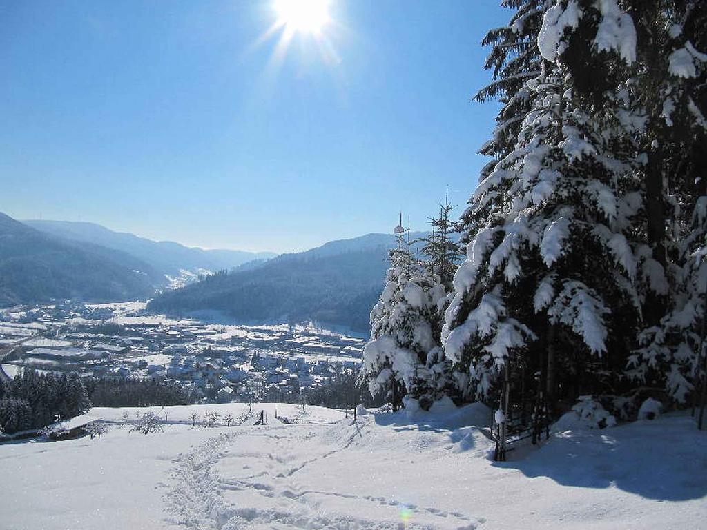 Lejlighed Vordersbergerhof Hausach