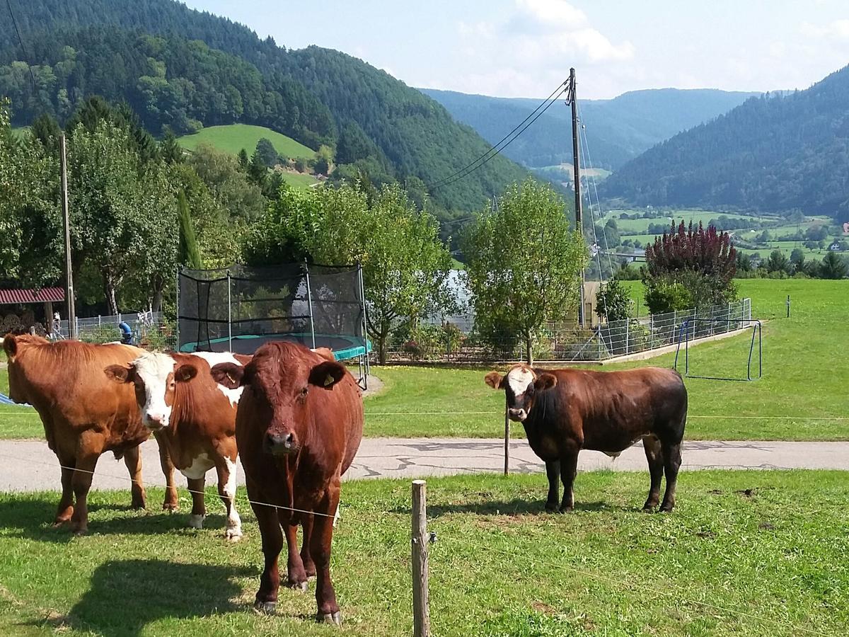 Vordersbergerhof *